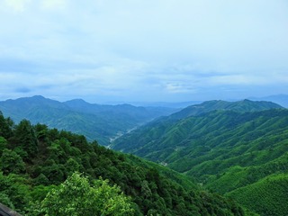 绿色井岗