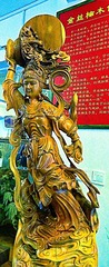 奔月
