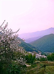 春暖花开