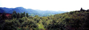远山近峦