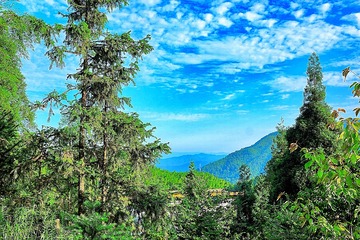 看风景