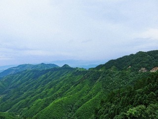 井岗翠