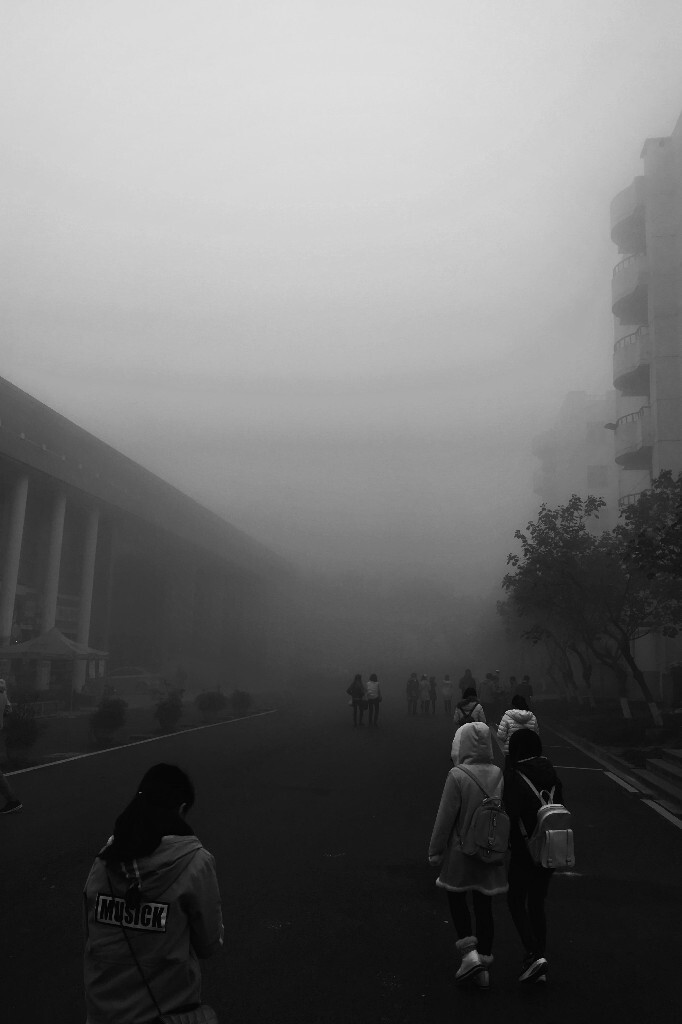 前去食堂吃午餐的同学们