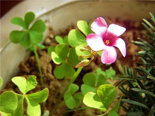 DSCN5851_