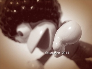 DSCN6072_