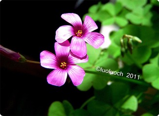 DSCN6108_