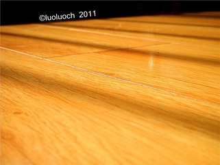 DSCN6120_
