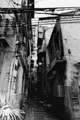 DSCF0416_副本.JPG