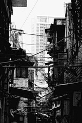 DSCF0419_副本.JPG