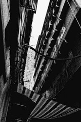 DSCF0427_副本.JPG