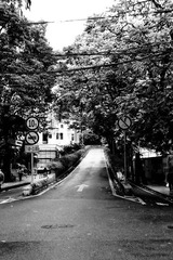 DSCF0439_副本.JPG