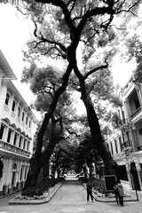 DSCF1176_副本.JPG