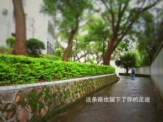 IMG_7638_