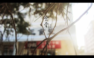 IMG_2714_