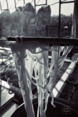 IMG_0084_