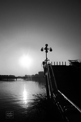 IMG_0242_