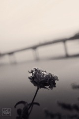 IMG_9961_