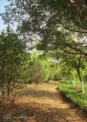 IMG_9441_