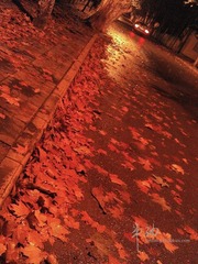 november rain