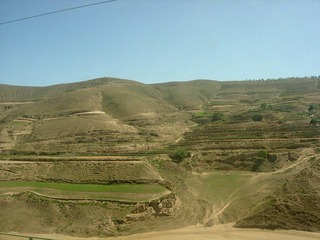 DSCN0183