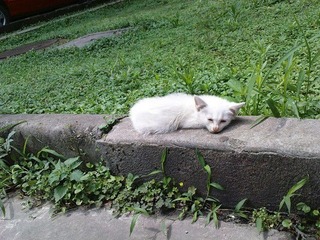 20090610