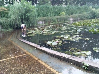 20080803－大雨来的不是时候
