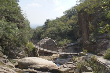 DSC02315.JPG