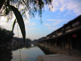 IMG_1062.JPG