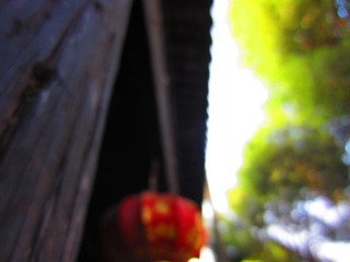 IMG_1107.JPG