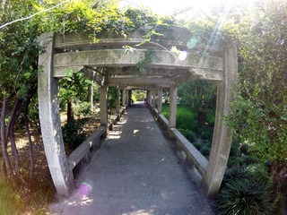 GOPR0315