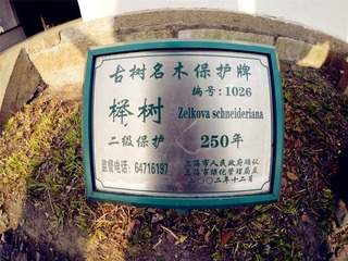 秋霞圃 (11)
