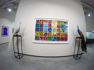 GOPR2048