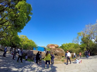GOPR2081