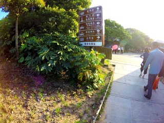 GOPR2112