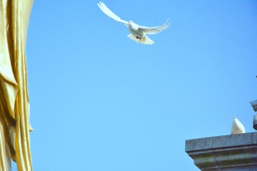 DSC_6260 (1)