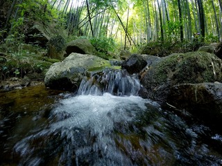 莫干山 (23)