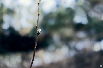 _DSC2216