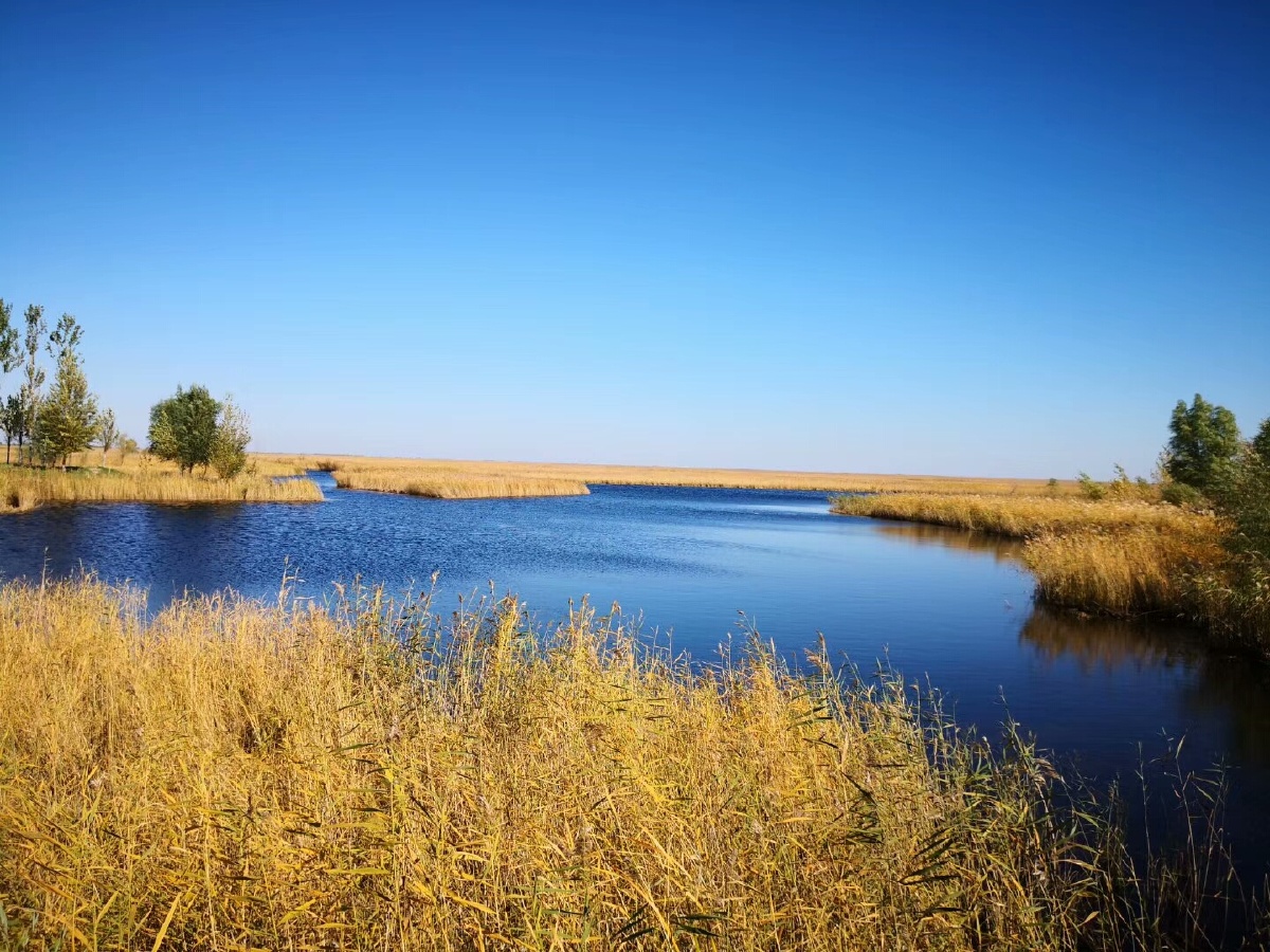 湿地之秋 - 鲁艺nsl - 图虫网 - 优质摄影师交流社区