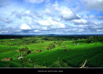 DSC_0548.JPG