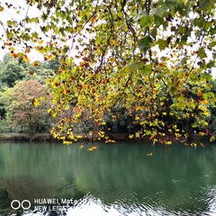 1205044