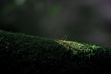 340731