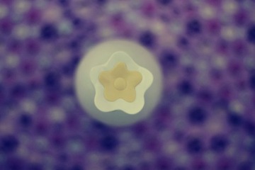 照片 017_