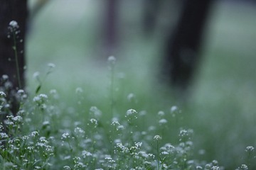 I16A8172_