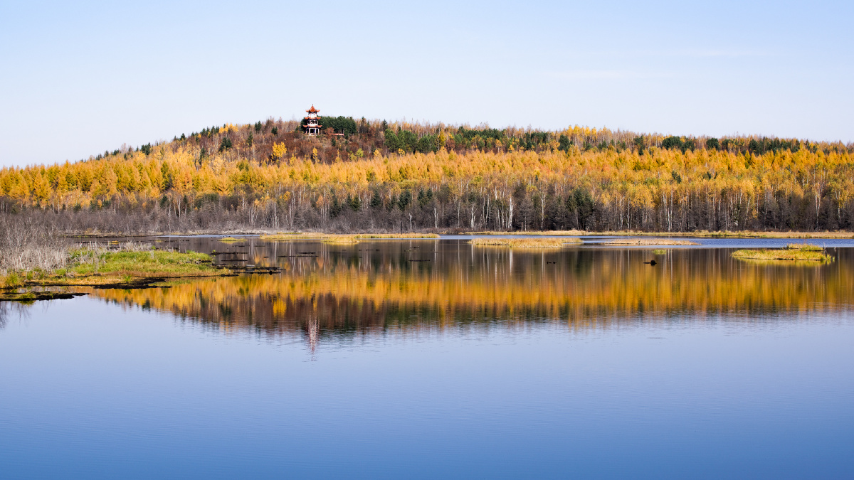 伊春乌伊岭湿地秋色