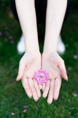 DSC02584_DxO