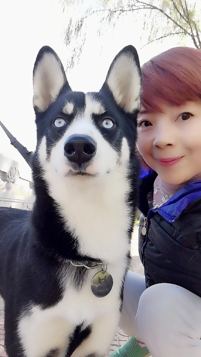 哈士奇 宠物狗能吃吗,不能喂狗吃人饭的原因有哪些?