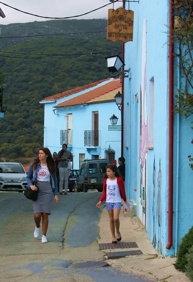 蓝精灵村系列(二)