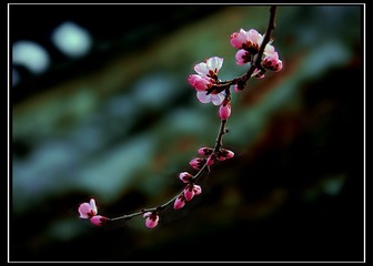 DSC08417___
