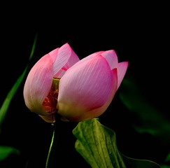 DSC08146_