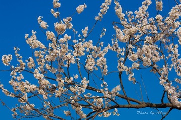 _DSC0023